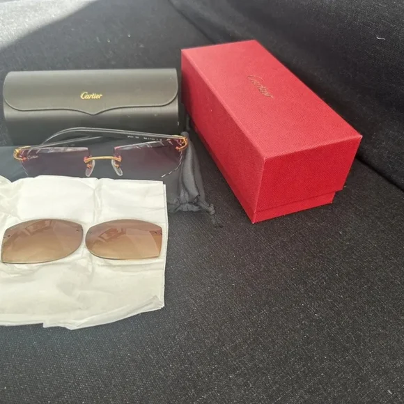 Cartier Buffalo Horn Frames w/ Custom Diamond-Cut Lenses + Originals – Authentic